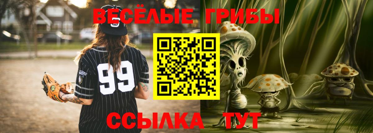 Самара  Галлюциногенные грибы Psilocybine cubensis  Вход с VPN 